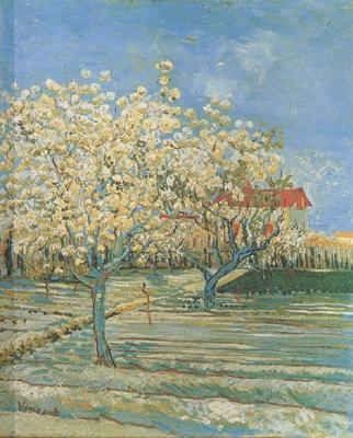 Vincent Van Gogh Orchard in Blossom (nn04) France oil painting art
